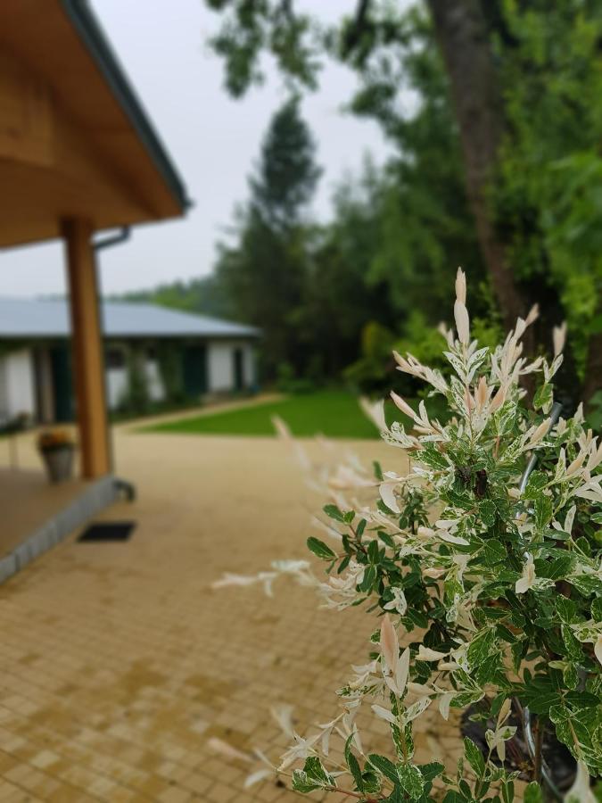 Vila Kosiedlisko Kraśnik Exteriér fotografie