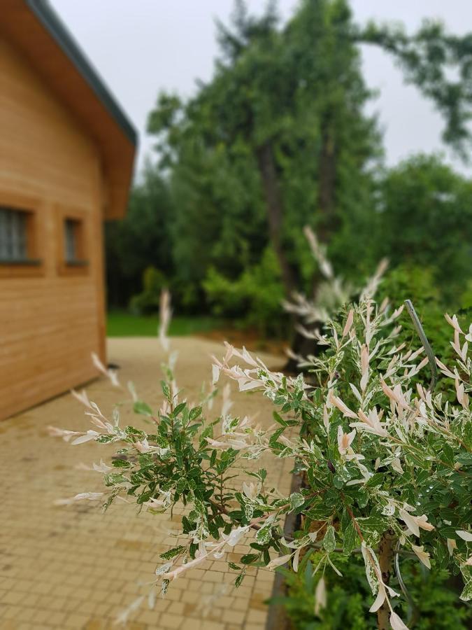Vila Kosiedlisko Kraśnik Exteriér fotografie