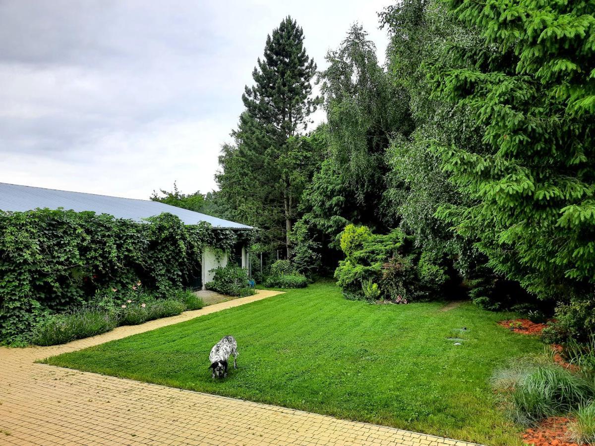 Vila Kosiedlisko Kraśnik Exteriér fotografie