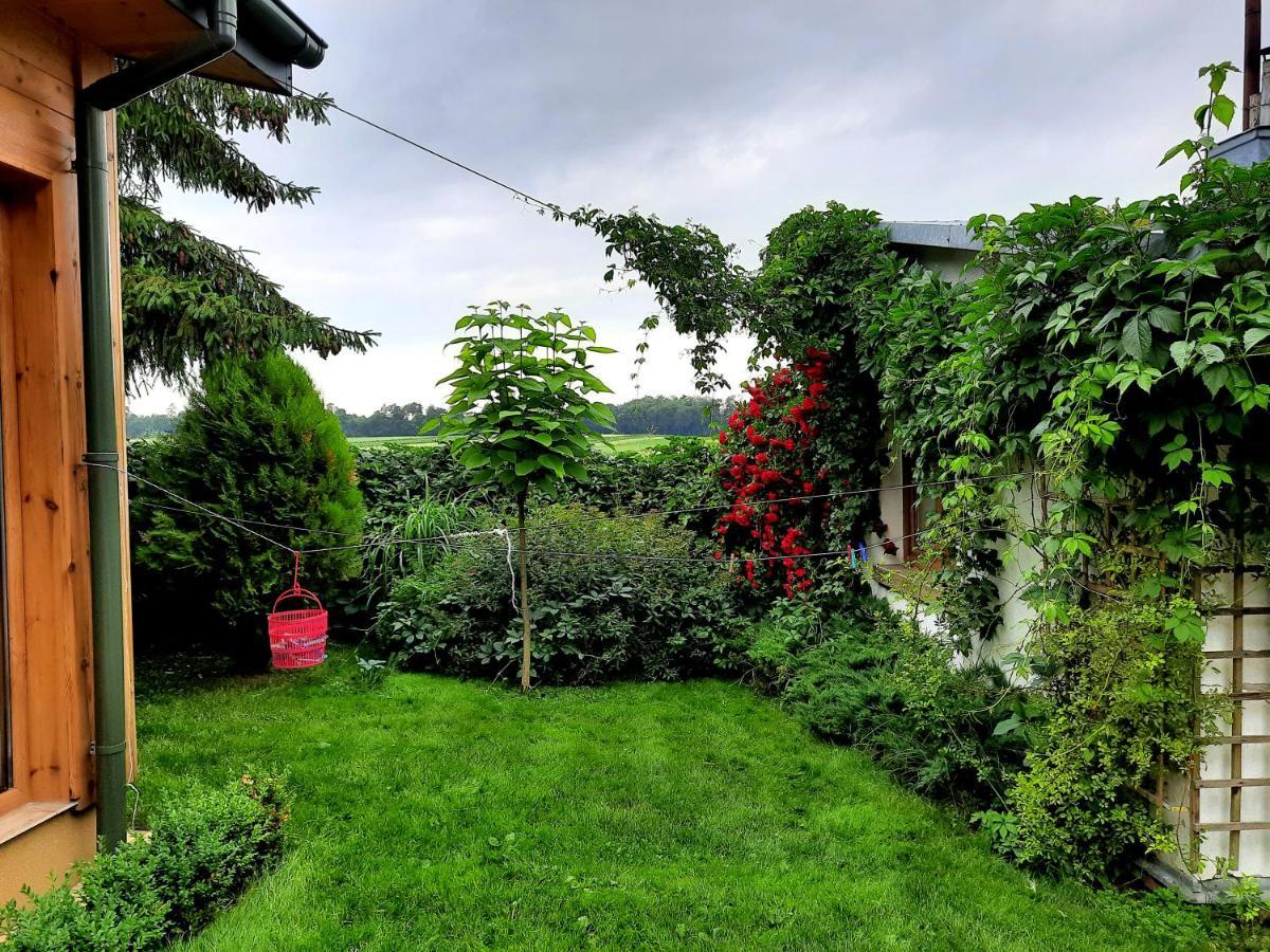 Vila Kosiedlisko Kraśnik Exteriér fotografie