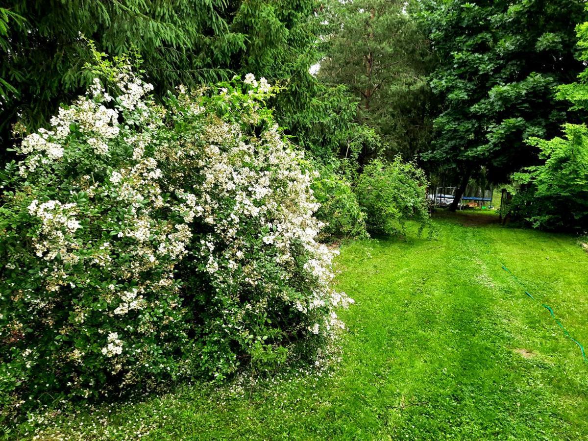 Vila Kosiedlisko Kraśnik Exteriér fotografie