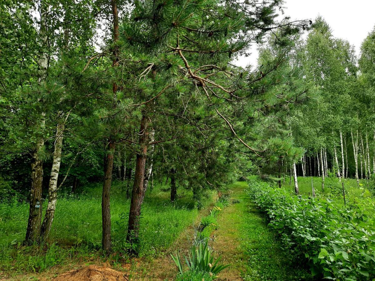 Vila Kosiedlisko Kraśnik Exteriér fotografie